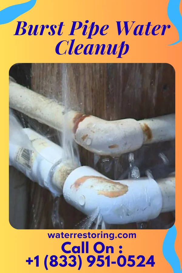 Burst Pipe Water Cleanup in Alger, OH