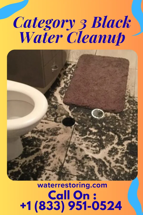 Category 3 Black Water Cleanup in Alger, OH