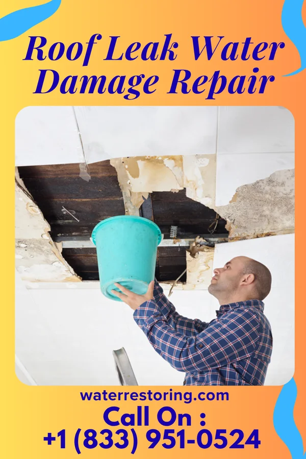 Roof Leak Water Damage Repair in Alger, OH