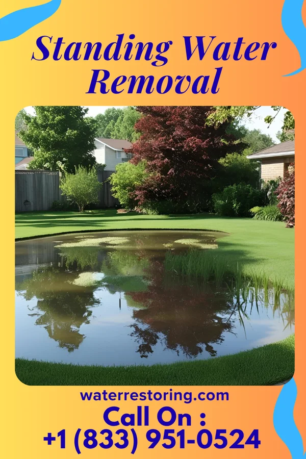 Standing Water Removal in Alger, OH